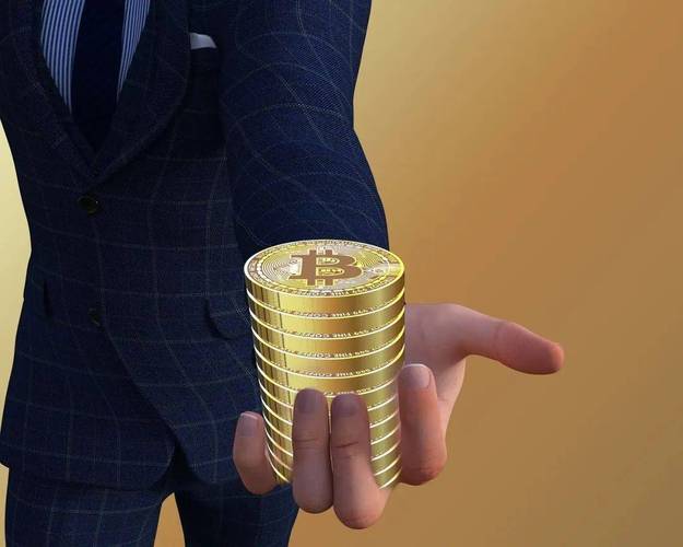An eco-friendly miner from France optimizing energy use for cryptocurrency extraction