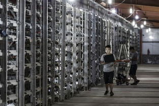A mining farm setup