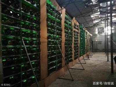 Rows of mining rigs in a professionally managed mining farm.
